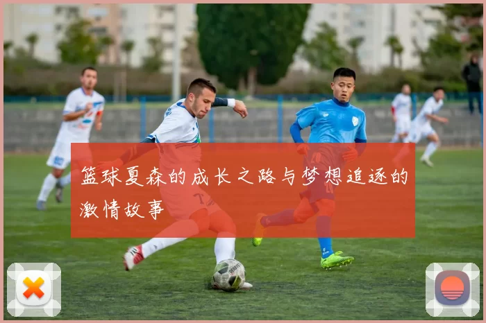 篮球夏森的成长之路与梦想追逐的激情故事