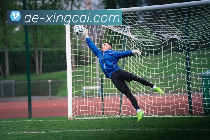 杏彩体育平台生态图