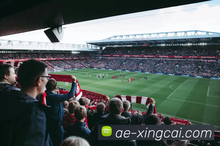 杏彩体育全站App